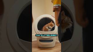 #CES2024 This litter robot eats your cat&#39;s poo 💩😮