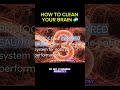 How to literally CLEAN your brain cells 🧼🔥 #biohacking #longevity