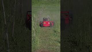 22HP/15HP RC Flail Mower in action 🌿🚜 Cutting thick grass, weeds and brush with ease in hazelnut