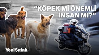 Kuryeler isyanda: Köpek saldırdı 6 ay yattım