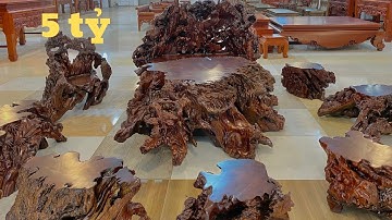 Bộ Gốc Cây Trị Giá 5 Tỉ Độc Nhất Vô Nhị ở Việt Nam ,Có Gì Đặc Biệt ? ( đồ gỗ đồng kỵ mạnh kha )