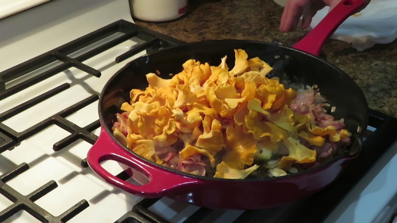 wild mushroom gravy chanterelle mushroom YouTube
