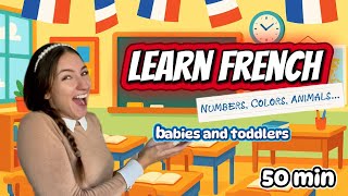 Learn French for Toddlers & Kids | Colors, Numbers, Animals & Seasons Learn French for Toddlers & Kids | Colors, Numbers, Animals & Seasons