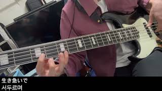 Doona - run (bass cover)