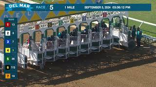 Vidéo de la course PMU CLAIMING