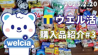 【ひろみんと購入品紹介#3】ウェル活 購入品紹介2023年2月