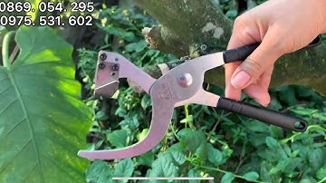 Khoanh vỏ dễ nhất,kéo + 5 chế độ lưỡi khác nhau,các bác tuỳ chỉnh bén làm dễ,( dụng cụ nông nhiêp)