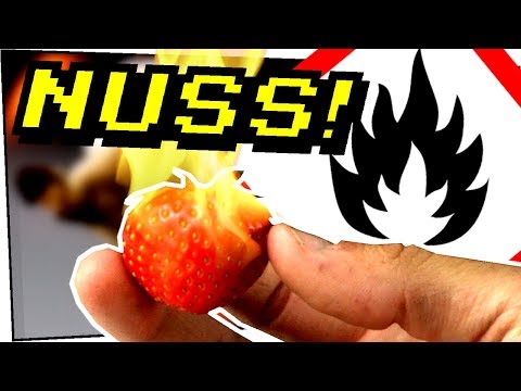 Wie gut brennt eine Nuss? Erdbeeren sind Nüsse! - Gefährliche Experimente #133