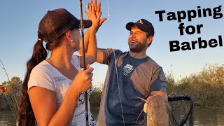 How to do Popping for Catfish (Barbel_Baber) the Tapping technique