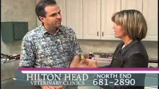 Hilton Head Veterinary Clinics presents Pet Dental Health Facts screenshot 1