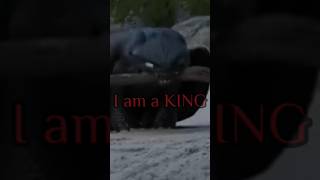 ,,I Am A Kingtoothless, The Night Fury