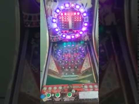 Oklahoma Casino Challenge! $20 FreePlay on Animal Slots – HUGE WINS?