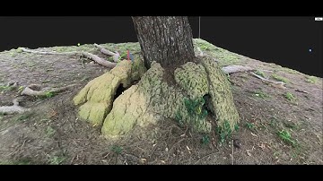 Videogrammetry 2D/3D model phone #Videogrammetry #insta360x3 #photogrammetry#reality capture