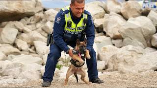 I Wanted a Police Dog, But God Sent Me a Tiny Comedian! 😂