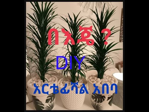 ቪዲዮ: ሰው ሰራሽ ጭስ እንዴት እንደሚሰራ