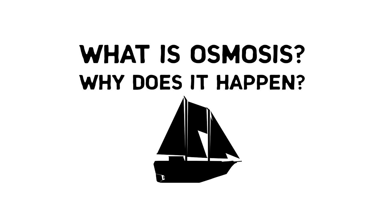 Osmosis Explained Sailing Mahalo Episode 6 YouTube