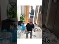 【赤ちゃん】久々にお見送り👋🏼今回も爆泣き😂#shorts #子育て #赤ちゃん #ここちゃんファミリー