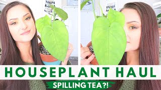 HOUSEPLANT HAUL | 7 NEW PLANTS | HOW I REPOT MY PLANTS &amp; WHY | Houseplants | Rare Houseplant Haul