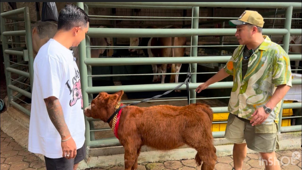 GREBEK RUMAH IRFAN HAKIM ‼️ ADA PULUHAN HEWAN RAKSASA