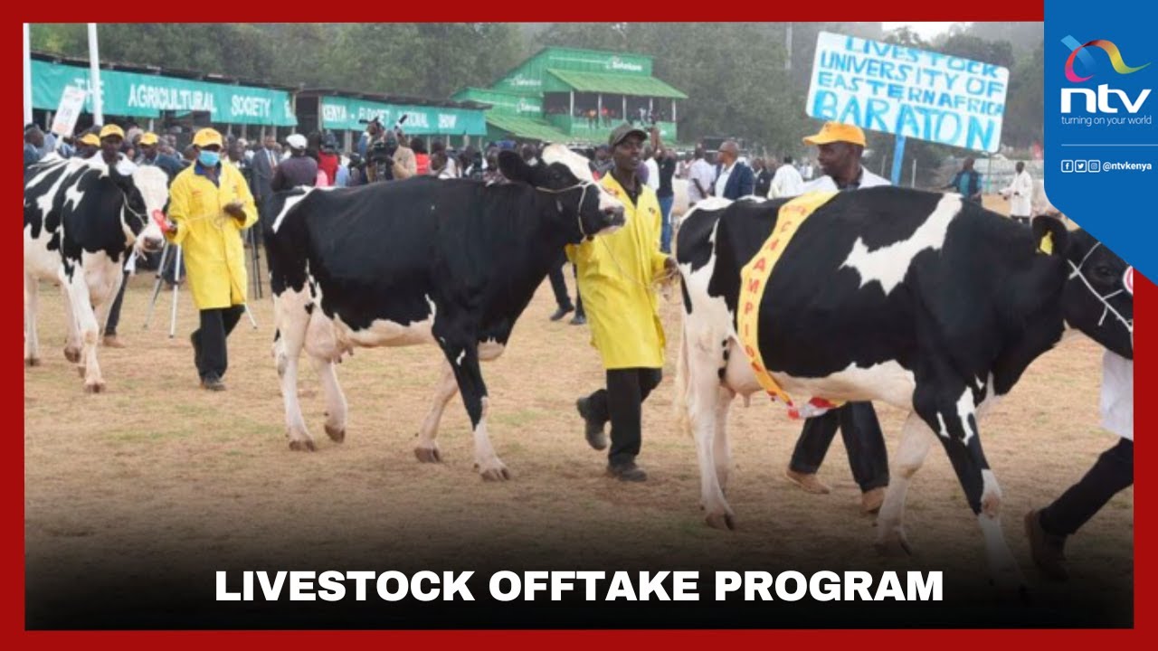 Offtake Program Government pledges to bolster livestock offtake program going forward ...