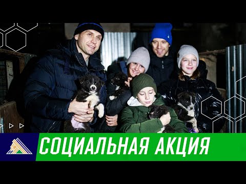 Видео: Корм в приют. Бирюков и Кулёмин привезли корм собакам