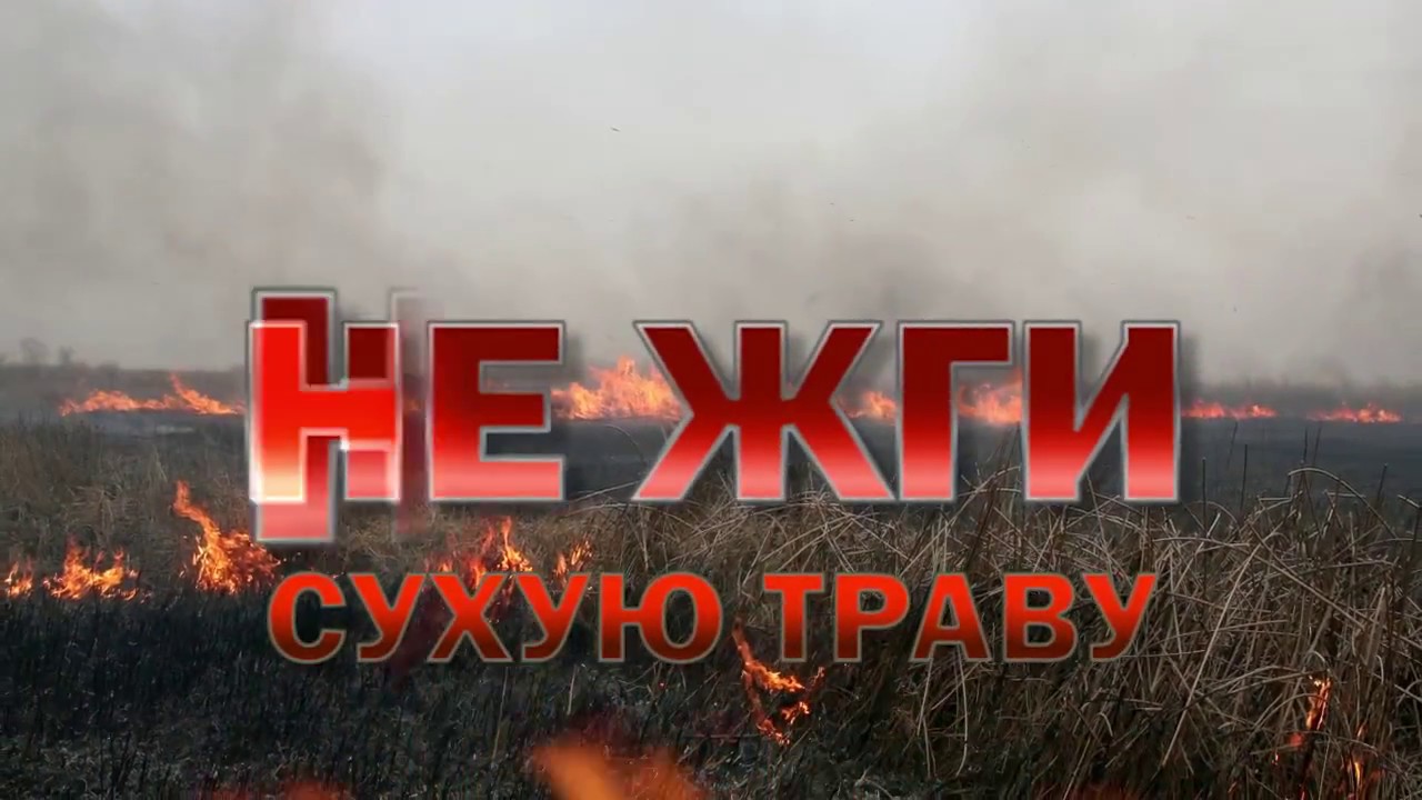 Весенние палы пользы за собой не принесут