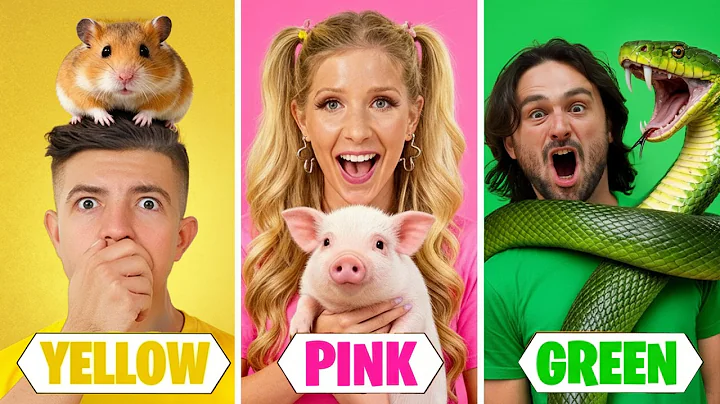 I Adopted Animals in One Color!