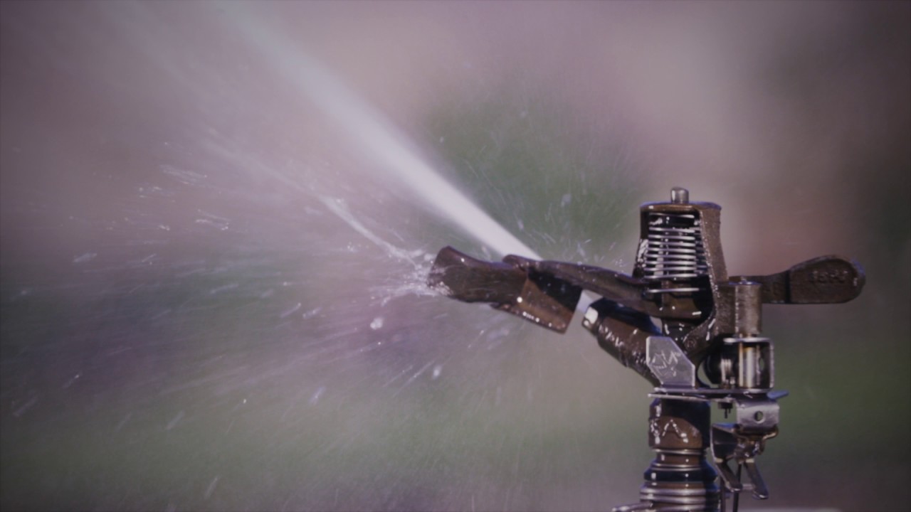 CBC17 STS 30ENG 1111A HD264 2997 1