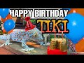 I threw my GECKO a BIRTHDAY PARTY (TOKAY GECKO)!