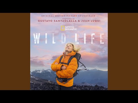 Putar All or Nothing - Gustavo Santaolalla