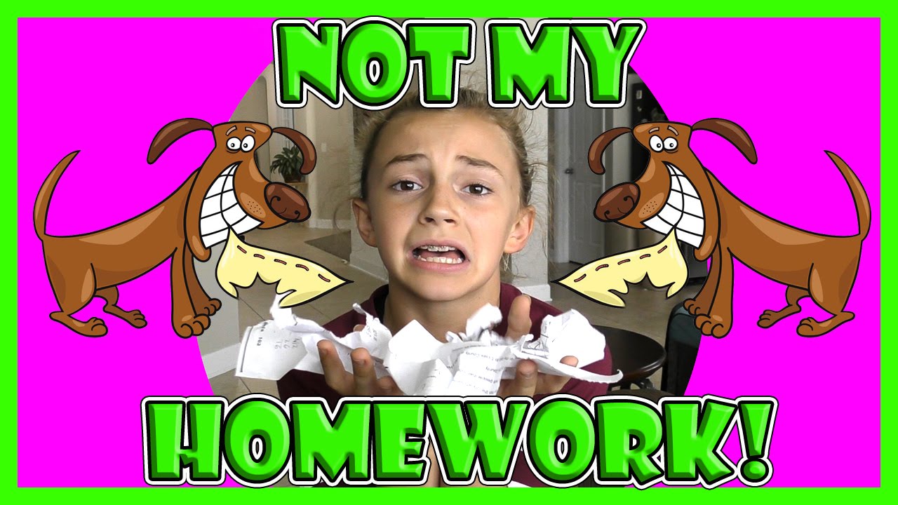 the dog ate my homework song