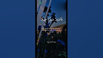 أجمل حالات واتس اب دينية💚||قرآن كريم💙||{فاصبر صبرا جميلا}||حياة القلوب💛🕊️||