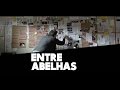 Luis Lobianco e Ian SBF falam sobre o filme &quot;Entre Abelhas&quot; - #53