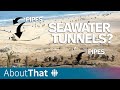 Seawater tunnels? Explaining Israel’s plan to flush out Hamas | About That
