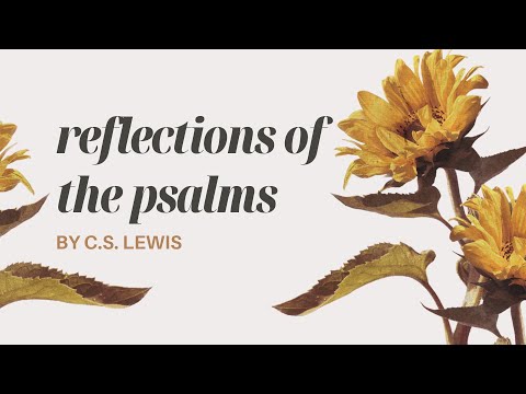 Reflections On The