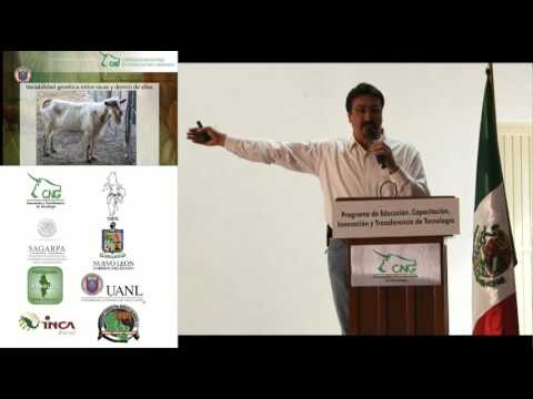 Vídeo: Cabras En La Ciudad: Prevalencia De Giardia Duodenalis Y Cryptosporidium Spp. En Cabras Criadas Extensivamente En El Norte De India