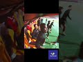 رد فعل دكة الأهلى والزمالك أثناء هدف محمد شريف واسيست السولية رد فعل دكة الأهلى والزمالك أثناء هدف محمد شريف واسيست السولية