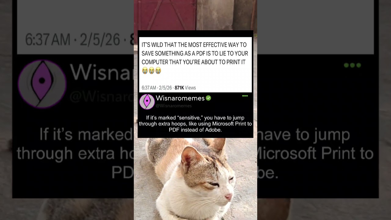 Why Is the Best Way to Save a PDF Pretending to Print It