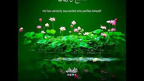 عبدالرحمن مسعد🤎|حالات واتساب|تلاوة هادئةمن سورة الأعلى| جزء ثاني| #قرآن_يتلي #قرآن_كريم #تلاوة_هادئه