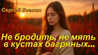 Не бродить, не мять в кустах багряных... (Русский Шансон) - Сергей Есенин.