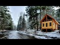 Finishing the Extension | Preparing for Winter | Dovetail Log Cabin