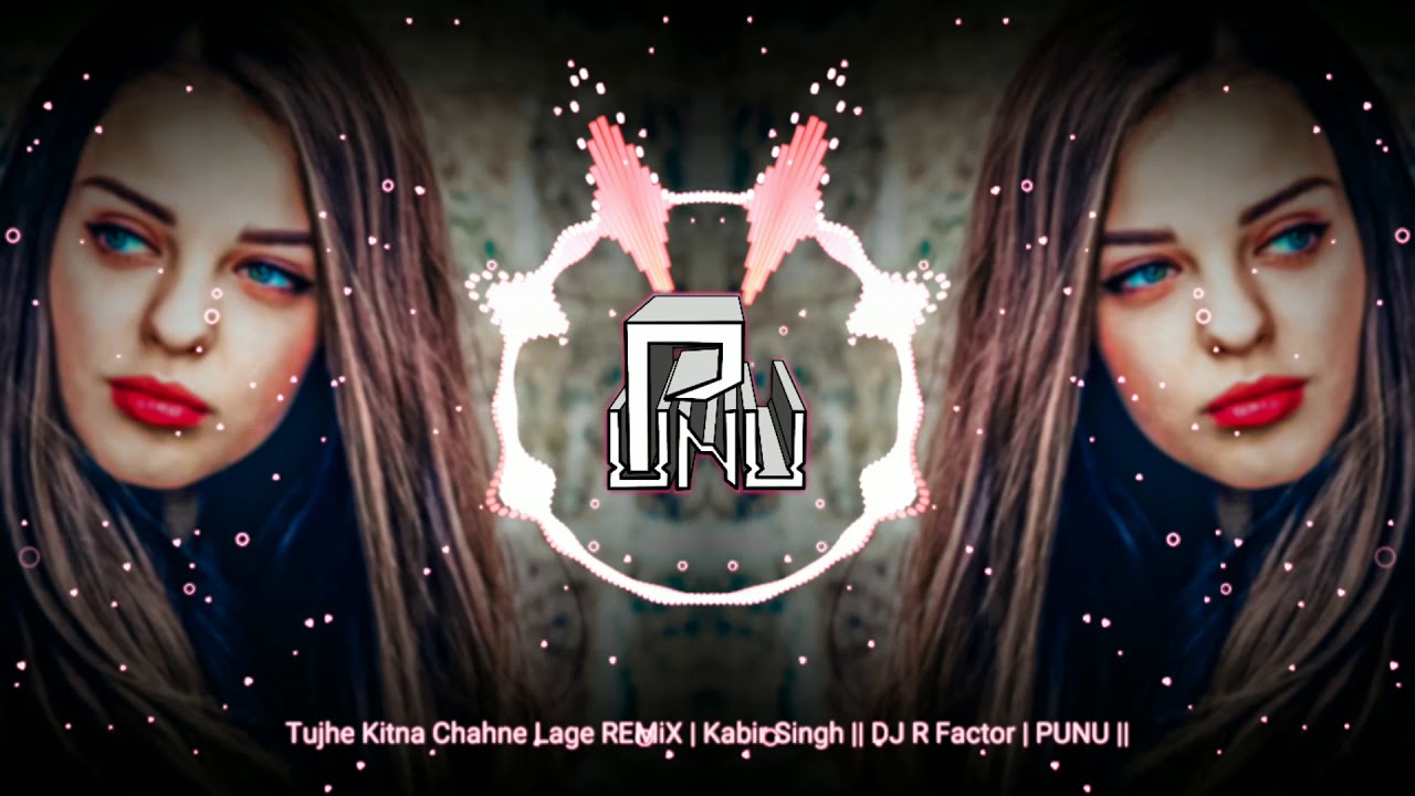 Tujhe Kitna Chahne Lage REMiX  Kabir Singh  DJ R Factor  PUNU 