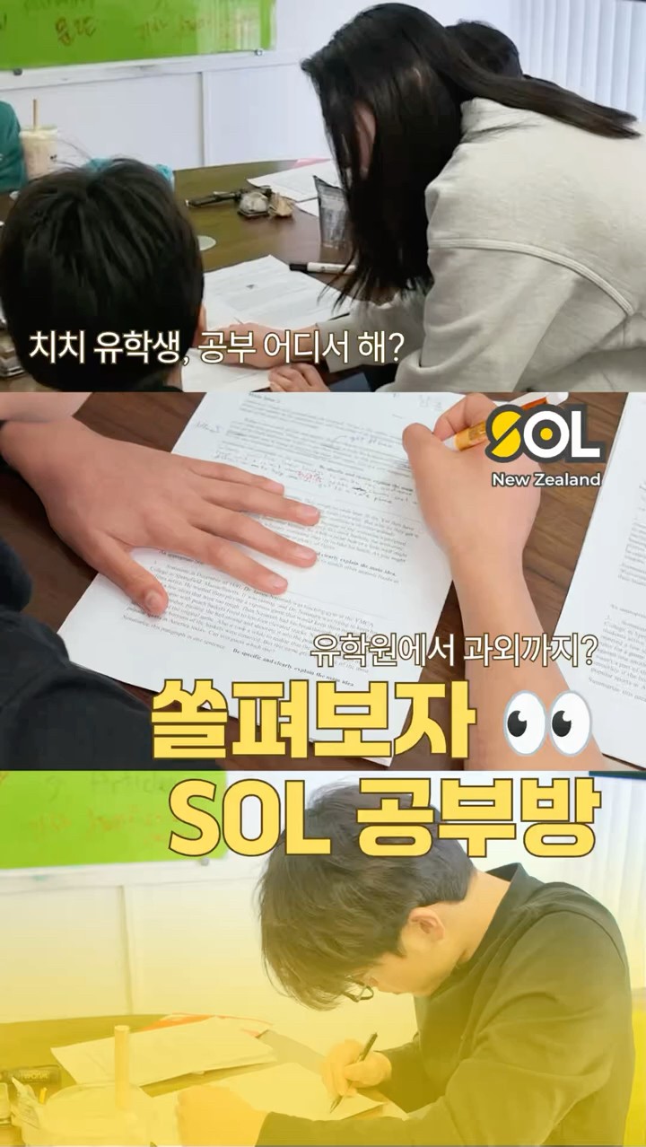 SOL 공부방 — 크라이스트처치 유학생은 어디서 공부할까