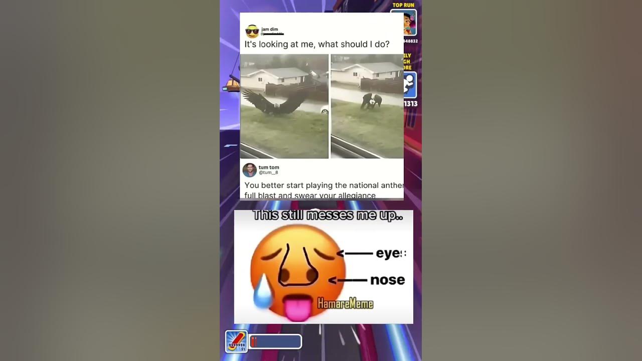 meme of the day cat vtuber roblox music piano funny YouTube