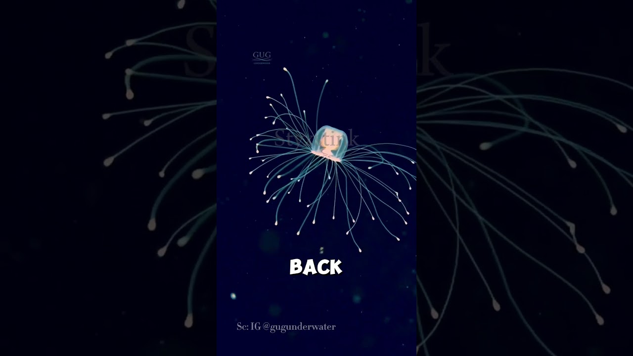 The Creature That Cheats Death! 