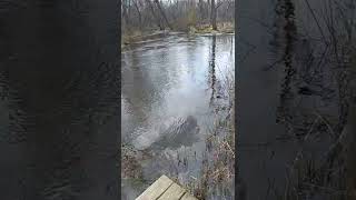 higher haven retreat property