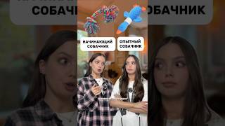 ВБ - #WW360247 #уходзасобаками #находкисвб #обзорывб #уходзапитомцами #собаки #petshopru #обзор #вб