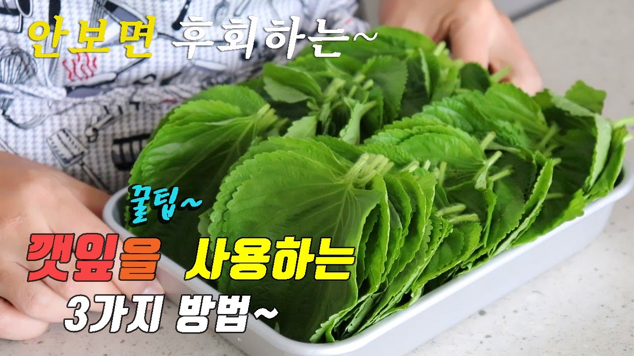 간단하고 맛있는 깻잎요리 3가지~ 강쉪^^ korean food recipe, 3 kinds perilla leaf recipe.