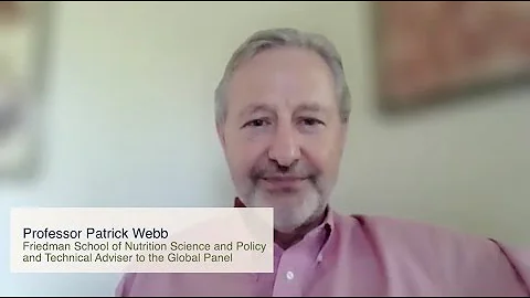 Policy Tool Expert View - Professor Patrick Webb