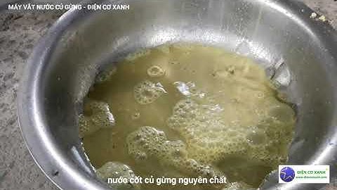 Máy vắt nước cốt củ gừng - Điện Cơ Xanh 0984467870